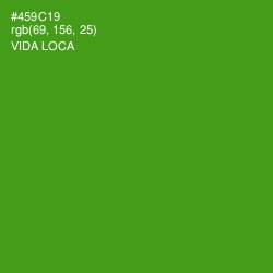 #459C19 - Vida Loca Color Image